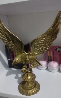 عقاب برنز