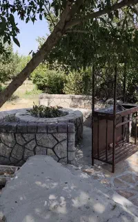 اجاره باغ