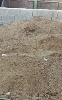 فروش کود گاو