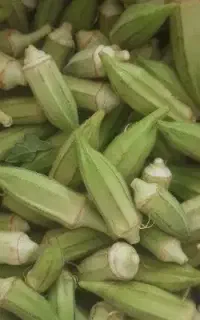 بامیه درجه یک