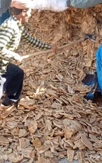 استخدام کارگر