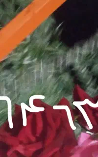 شماره فروشی روند