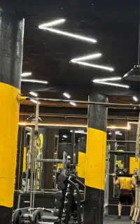 دفتر دار باشگاه