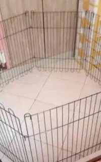 پارک سگ، خرگوش