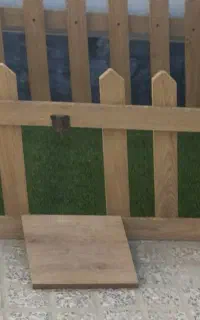 تعدادی وسیله پت به فروش میرسد