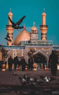 کربلا با قیمت رقابتی ویژه ولادت
