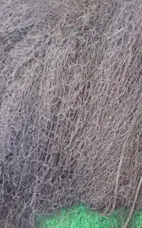 تور