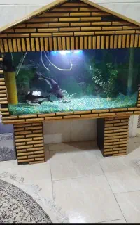 آکواریوم به همراه لوازم