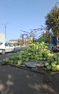 جذب نیرو برای بارفروشی