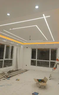 برقکار. برقکش. برق کار .برق کش