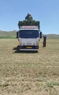 یونجه پرس