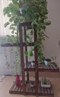 گلدان و استند