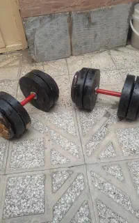 دمبل