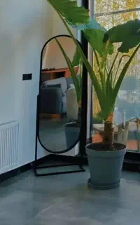 تنوع بالا آینه قدی ، کیفت بالا ، قیمت پایین