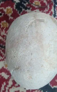 یک عدد سنگ آسیاب بزرگ وسالم