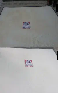 شستشوی مبل وخوشخواب