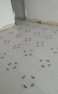 کاشی کاری و سرامیک و موزائیک