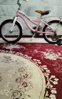 دوچرخه
