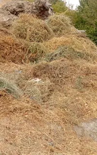 فروش علف خشک