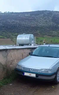 پژو 405 دوگانه کارخانه مدل 88