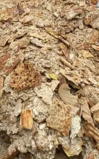 نان خشک