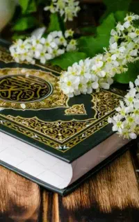 استخاره محبت بخت رزق