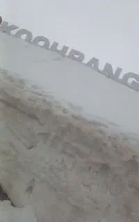 فروش سیم کارت