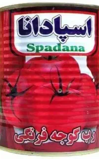 ویزیتور حضوری