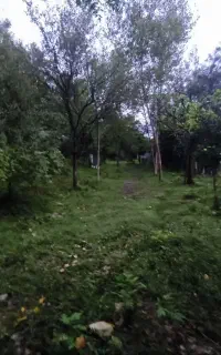 ویلا پلاک یک جنگل۷۰ متری