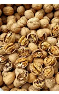 گردو درجه ۱