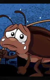 داروی سوسک تضمین وجه