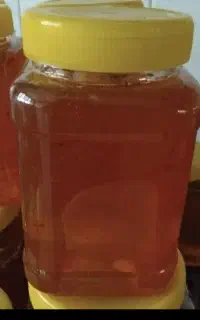 عسل