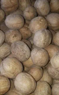 گردو کاغذی خوشمزه
