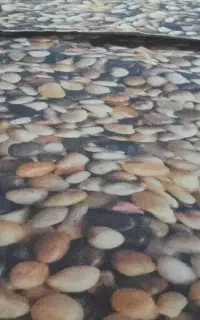 ۳ تیکه موکت نو نو