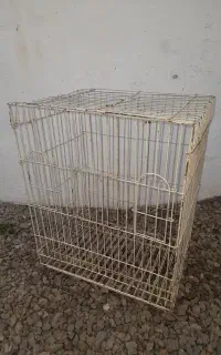 قفس پرنده