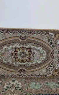 پشتی سالم