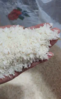 برنج پاکستانی ارزان