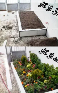 خدمات باغبانی با نیروهای سازمان فضای سبز