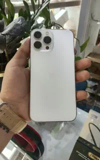 13pro max