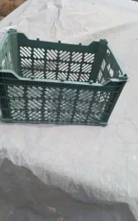 فروش ویژه سبد سیب ده کیلو