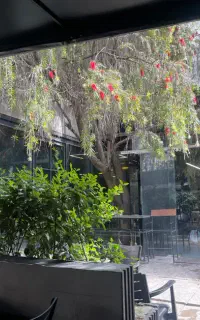 استخدام اشپز کافه دژاوو