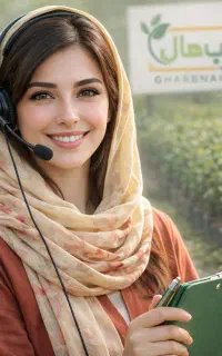 فروش نهال موندراب گردو صنوبرالبالو زیتون فندق هلو