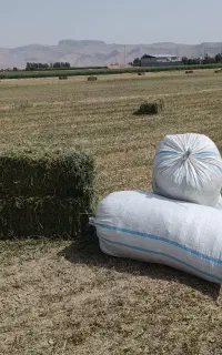فروش پرس یونجه