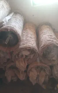 ۳۰تاسبدبفروش می رسد