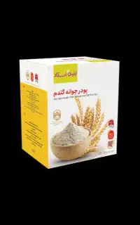 پودر جوانه گندم