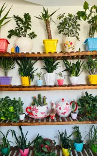 استند گل بانور مخفی