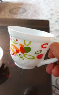 ارکوپال