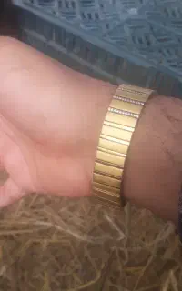 ساعت اناتوم طرح طلا