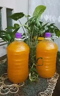 شامپو گلرنگ و شبنم و مایع ظرف پریل