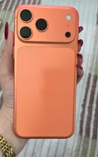 17 پرومکس